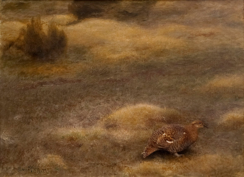 Female grouse - Bruno Liljefors