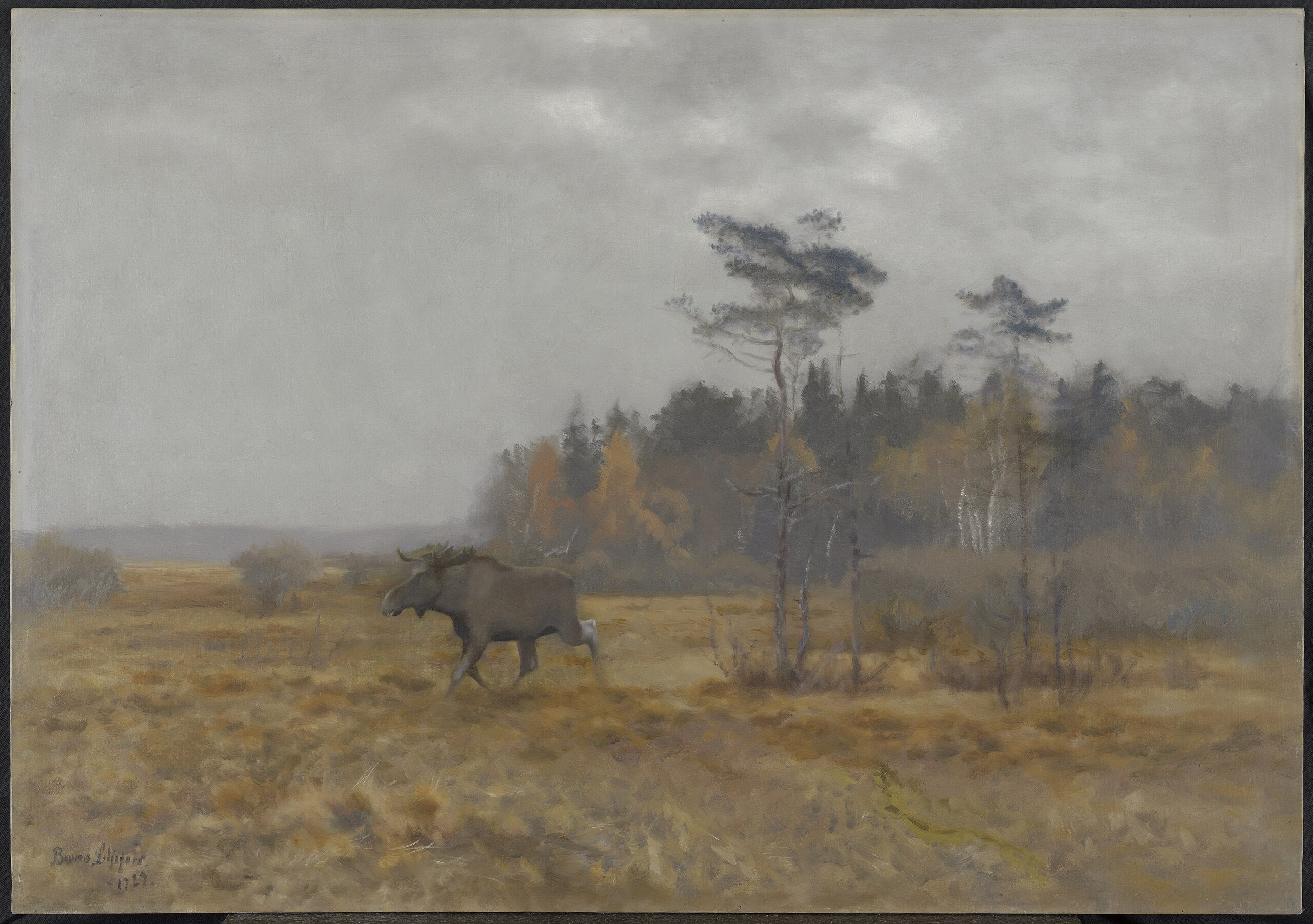 A moose crossing a swamp in Sweden - Bruno Liljefors