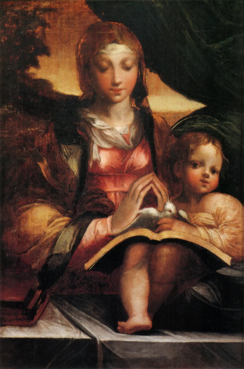 Virgin and Child - Parmigianino