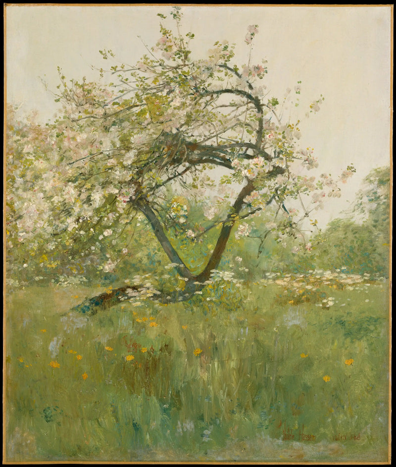 Peach Blossom — Villiers-le-Bel - Childe Hassam