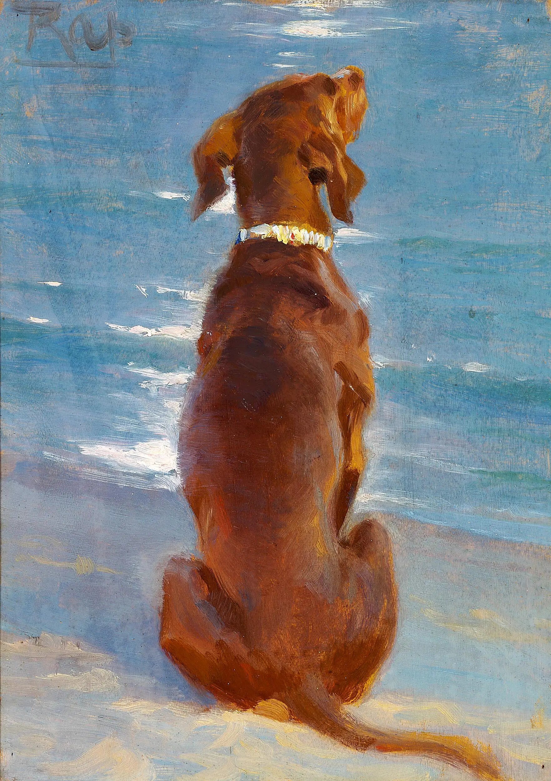 Un chien brun assis. Rap. - Peder Severin Krøyer - Alpha Reproduction