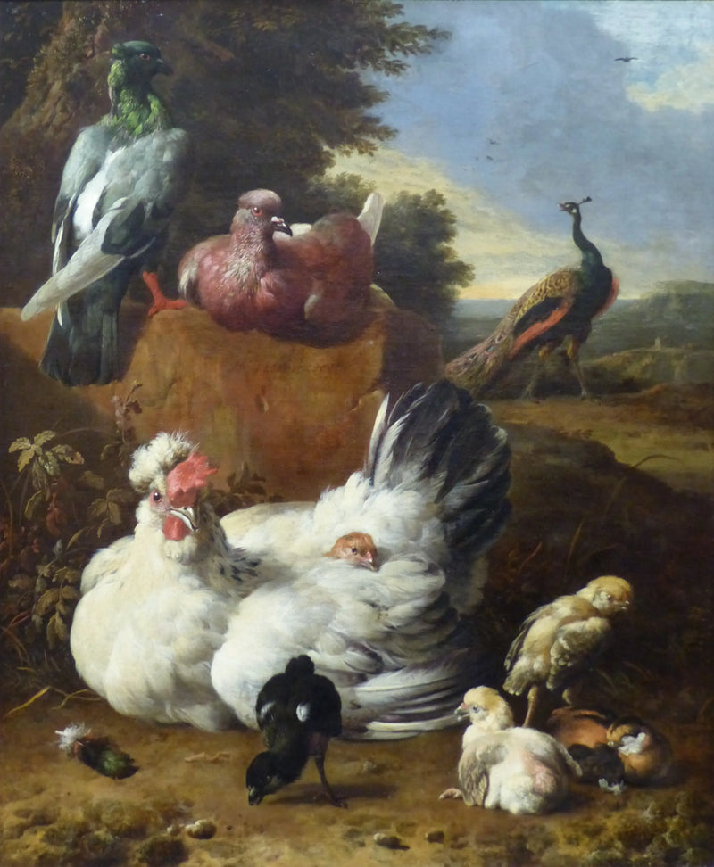 The White Hen - Melchior de Hondecoeter