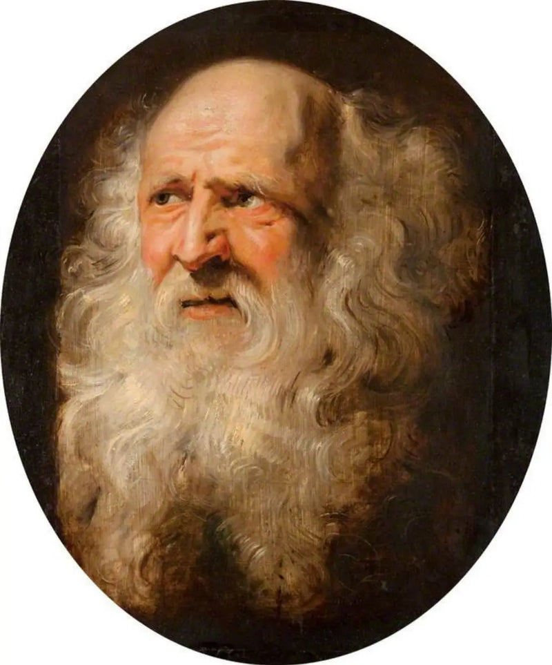 Head of an Old Man - Peter Paul Rubens