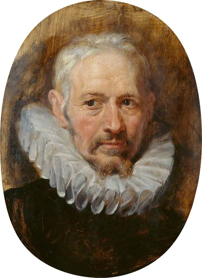 Head of an Old Man - Peter Paul Rubens