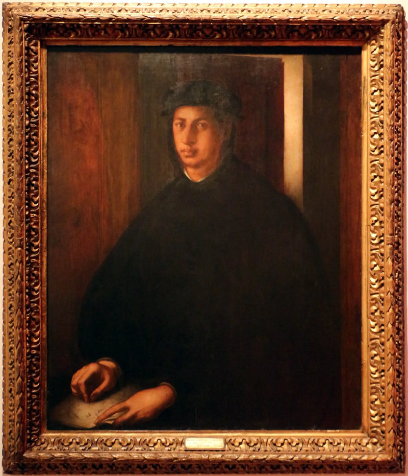 Portrait of Alexandre de Médicis - Pontormo