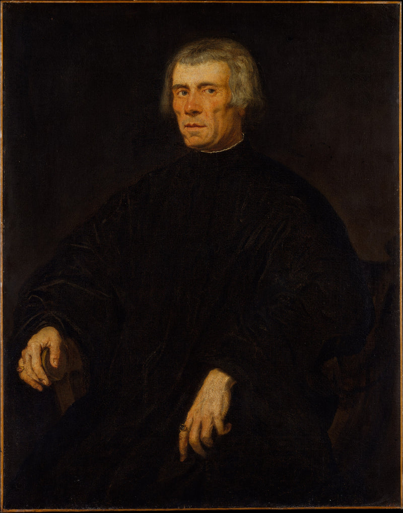 Portrait of a Man - Jacopo Tintoretto