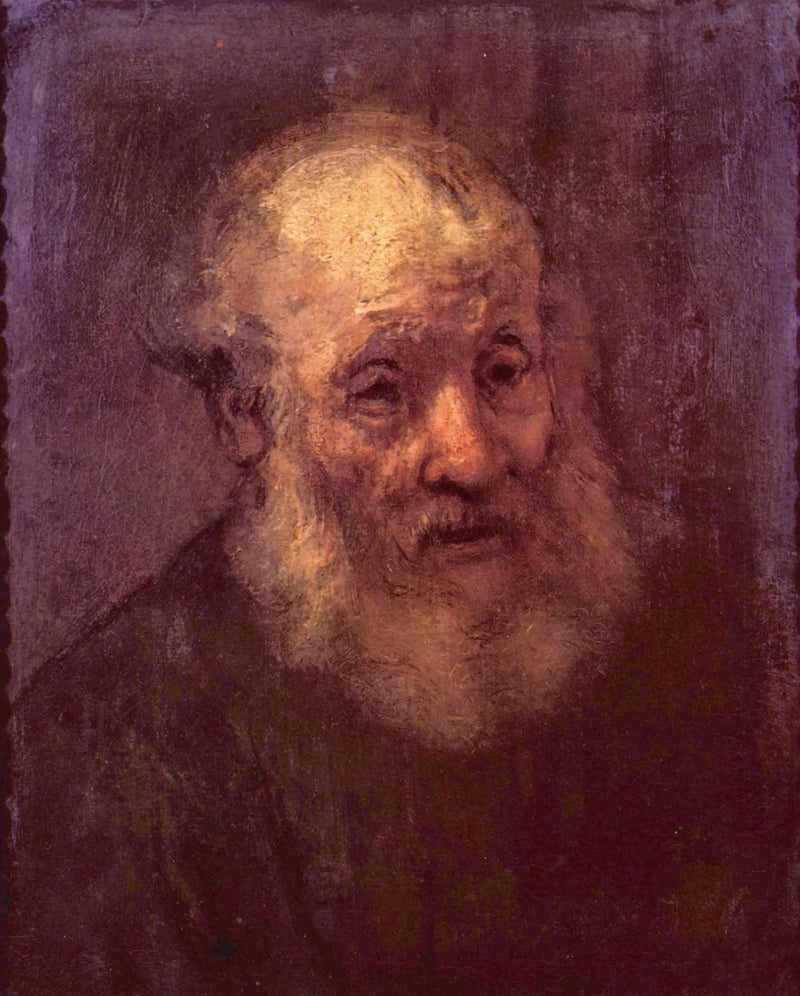Portrait of an Old Bearded Man - Rembrandt