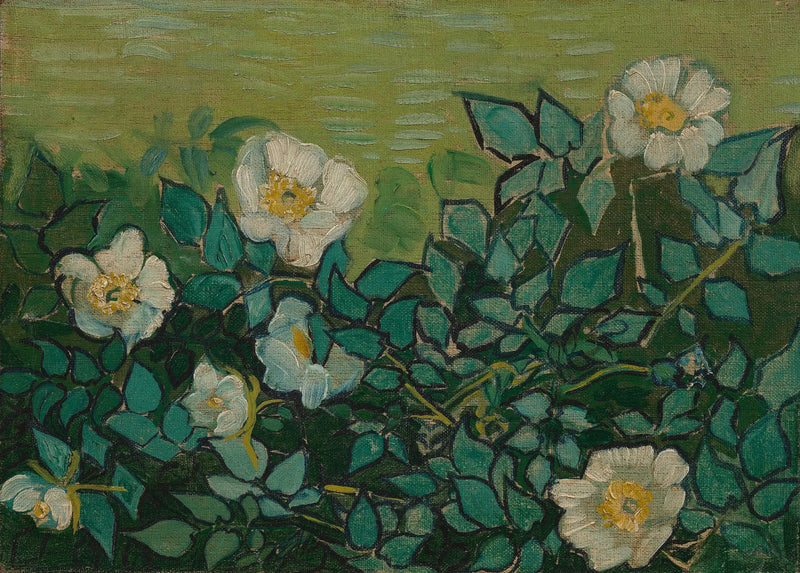 Wild Roses - Vincent van Gogh
