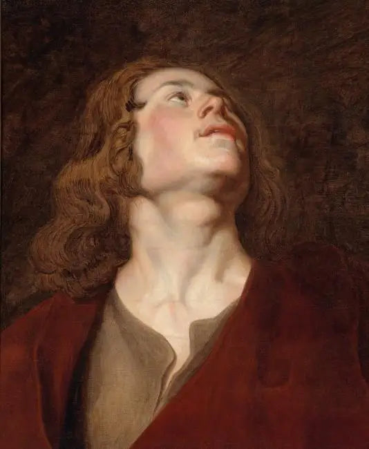 Head of Saint John - Peter Paul Rubens