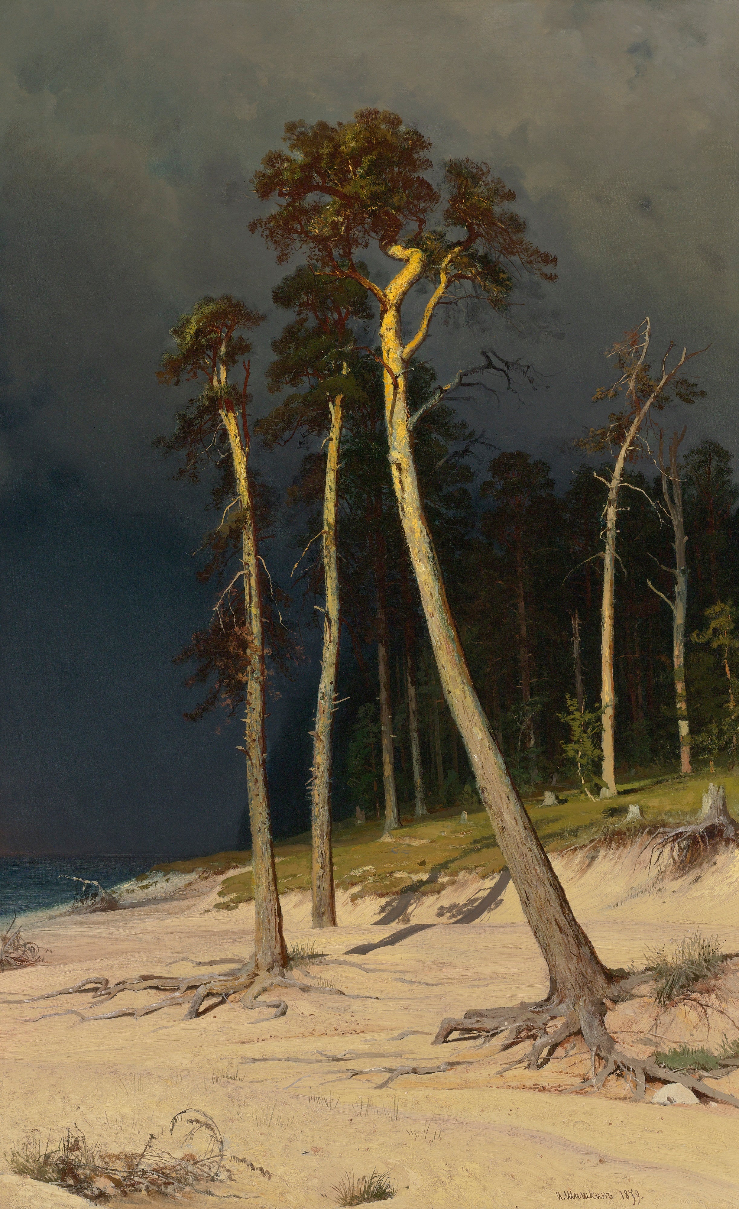 Littoral sablonneux - Ivan Chichkine