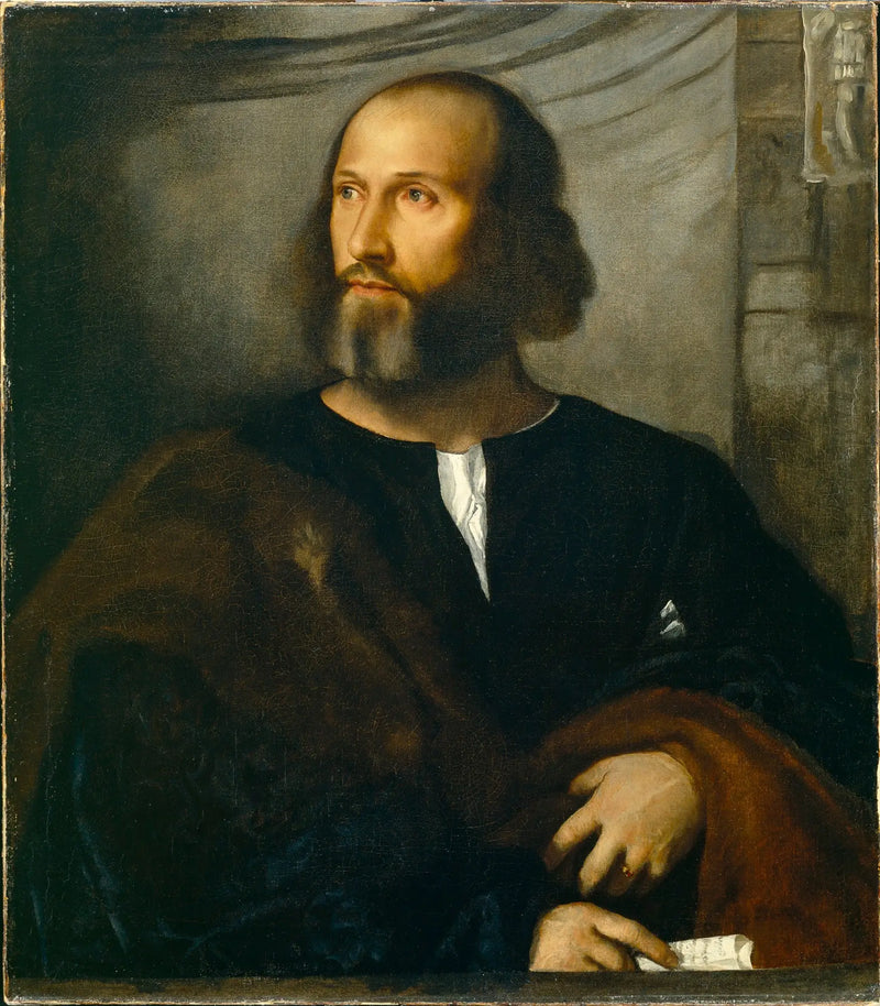 Portrait of a bearded man - Titian