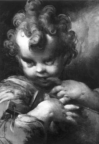 Child Saint John - Parmigianino