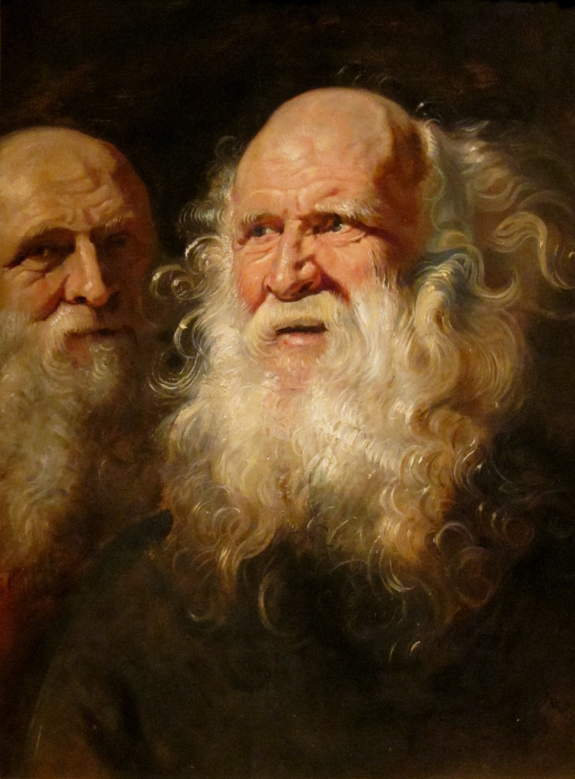Study of Two Bearded Old Men - Peter Paul Rubens