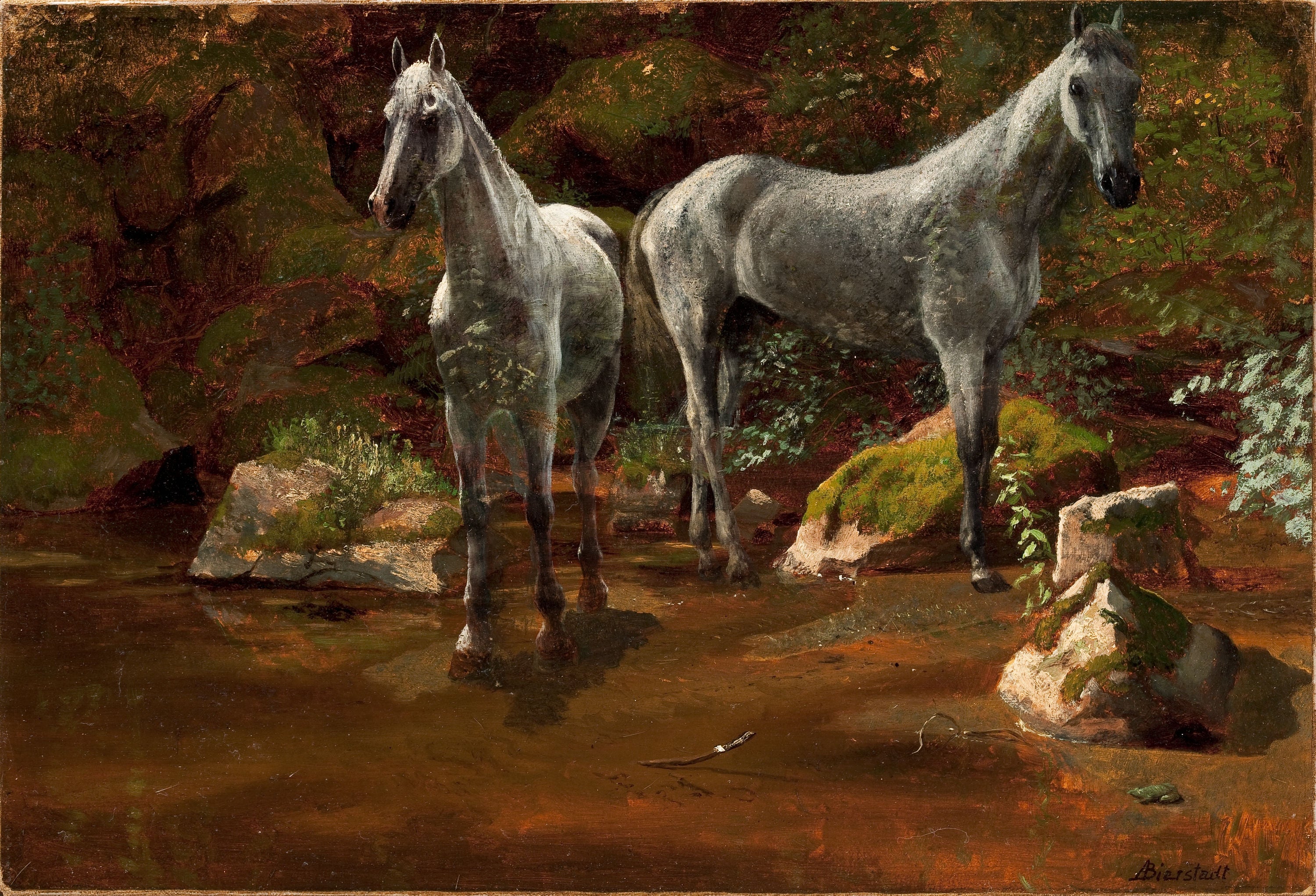 Étude des chevaux sauvages - Albert Bierstadt