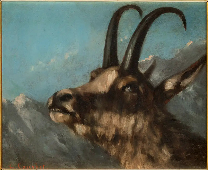 Chamois Head - Gustave Courbet