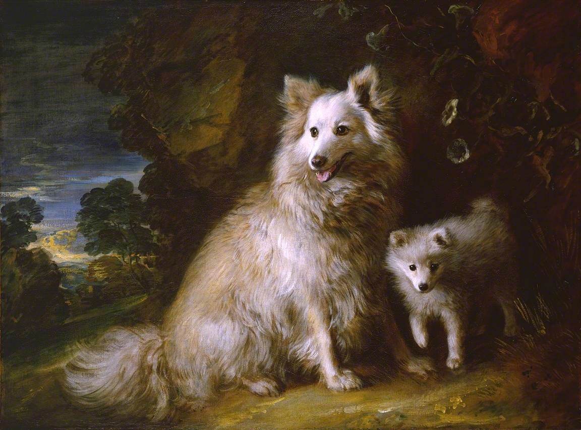 Chienne et chiot poméraniens - Thomas Gainsborough