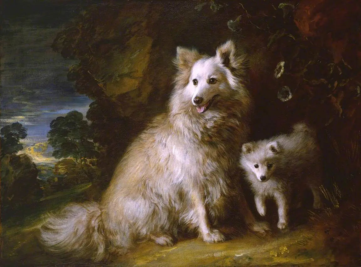 Chienne et chiot poméraniens - Thomas Gainsborough - Alpha Reproduction