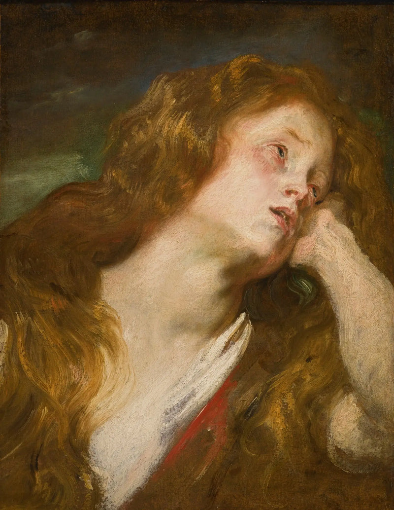 Head of a Young Woman - Antoine van Dyck