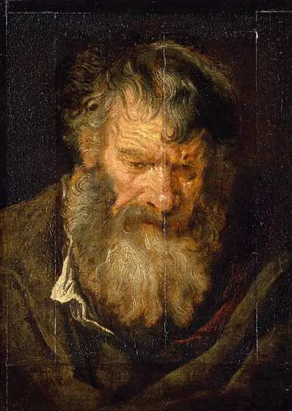 Head of an Old Man - Antoine van Dyck