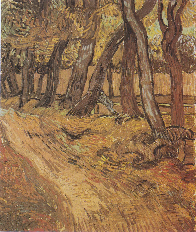 Garden of Saint Paul Hospital with Figure, The - Vincent van Gogh