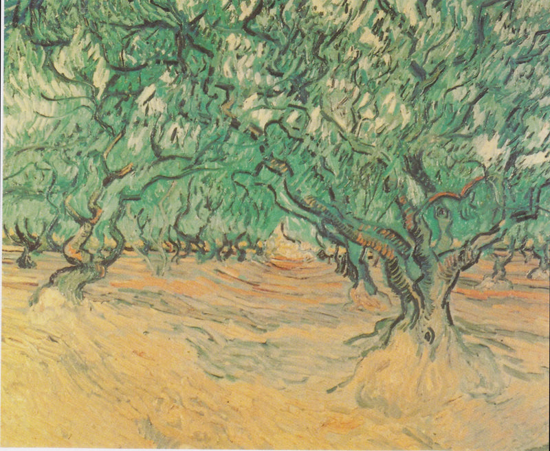 Olive Trees - Vincent van Gogh