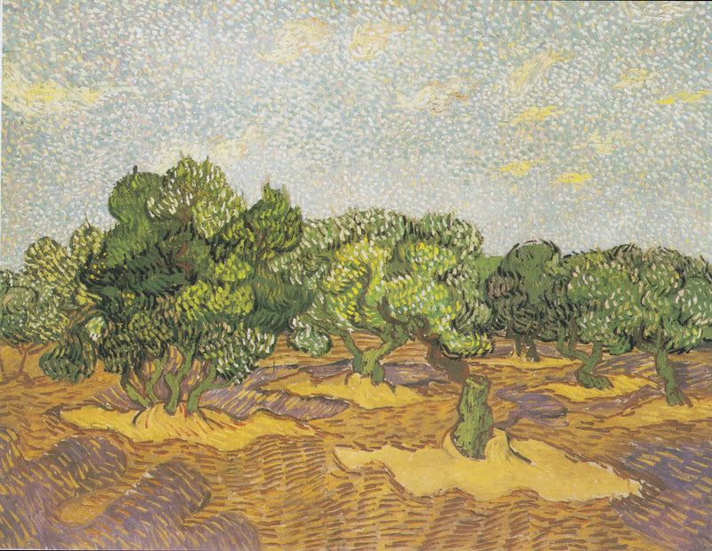 Olive Trees - Vincent van Gogh