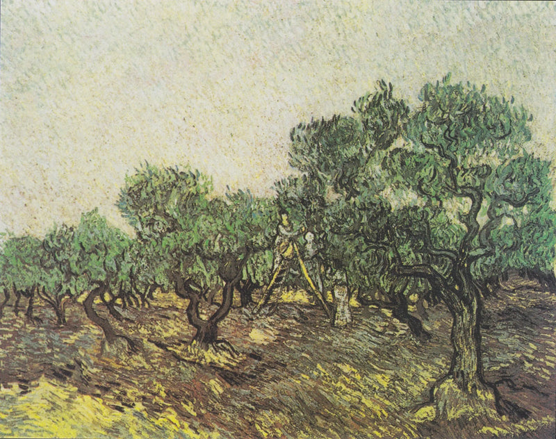 Olive Harvest - Vincent van Gogh
