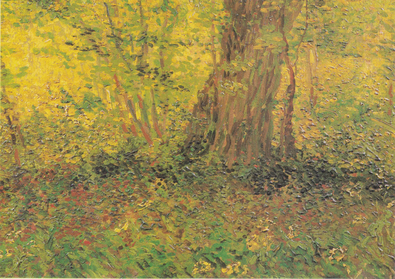 Underbrush - Vincent van Gogh