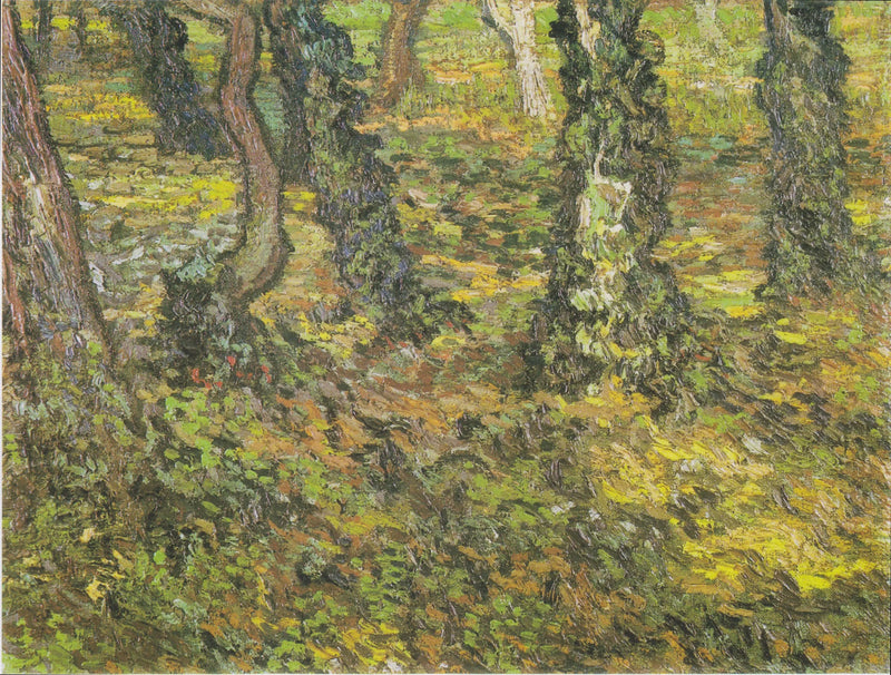 Tree trunks with ivy - Vincent van Gogh