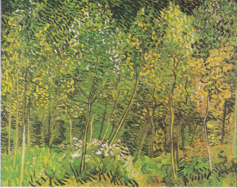 The Grove - Vincent van Gogh