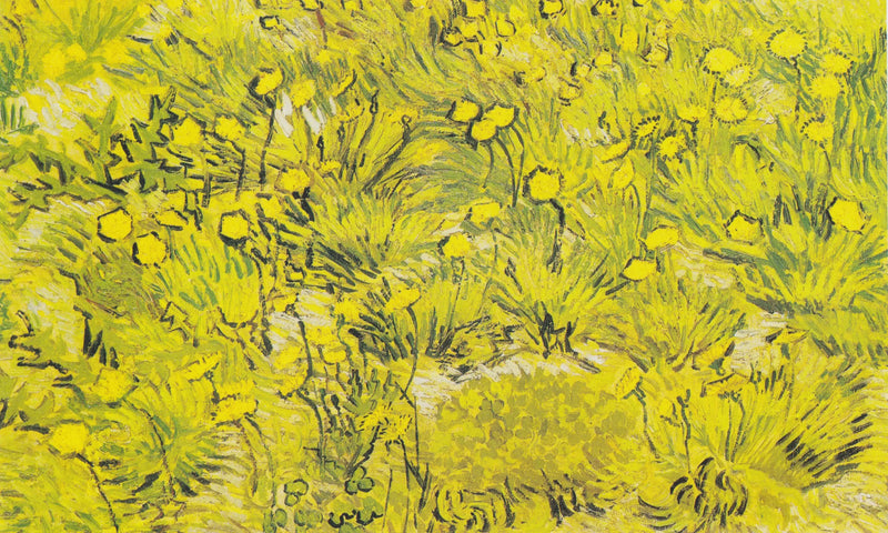 Yellow Flower Meadow - Vincent van Gogh