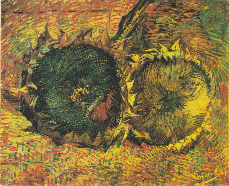 Two Cut Sunflowers - Vincent van Gogh