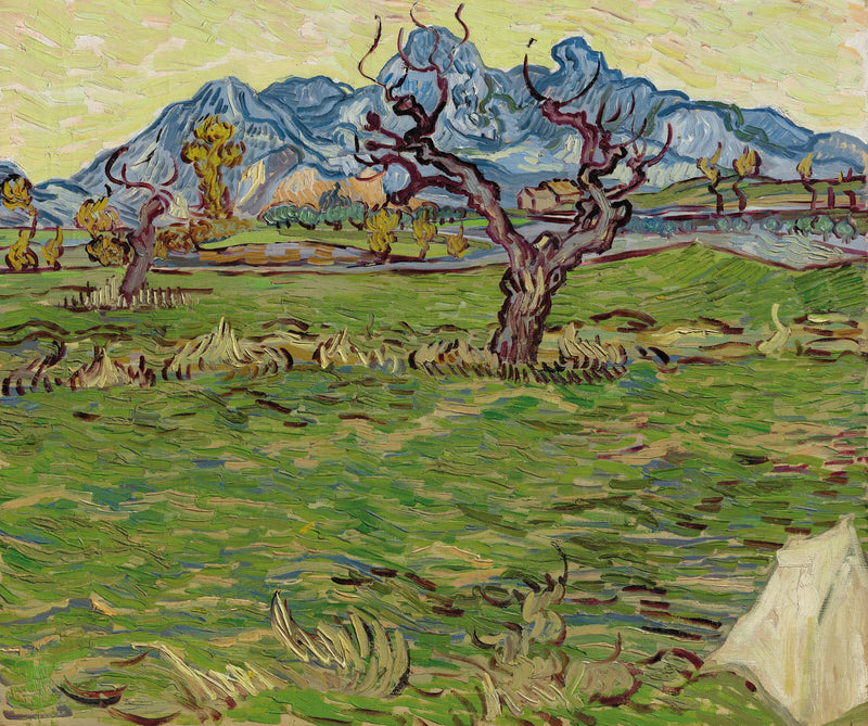 Fields near the Alpilles - Vincent van Gogh