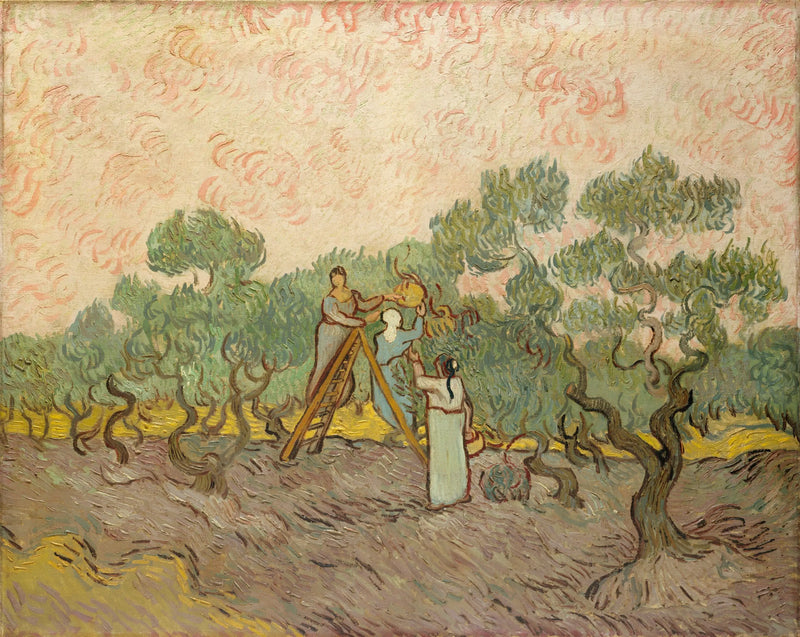 Women Picking Olives - Vincent van Gogh