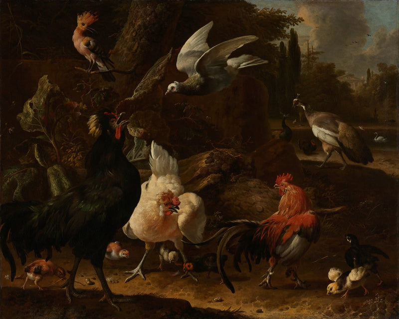 Birds in a Park - Melchior de Hondecoeter