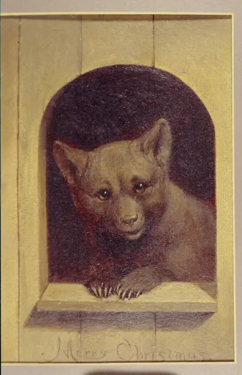 Teddy's Christmas Wishes - William Holbrook
