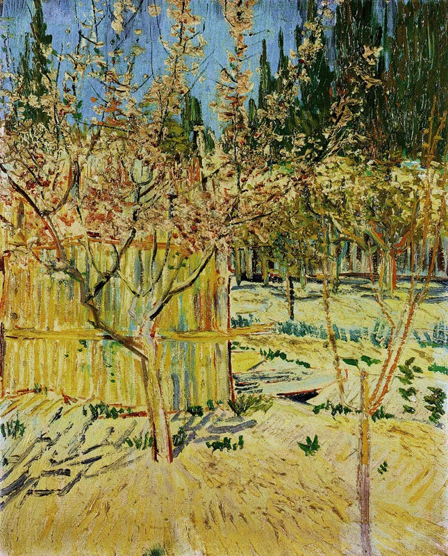 Flowering Apricot Trees - Vincent van Gogh