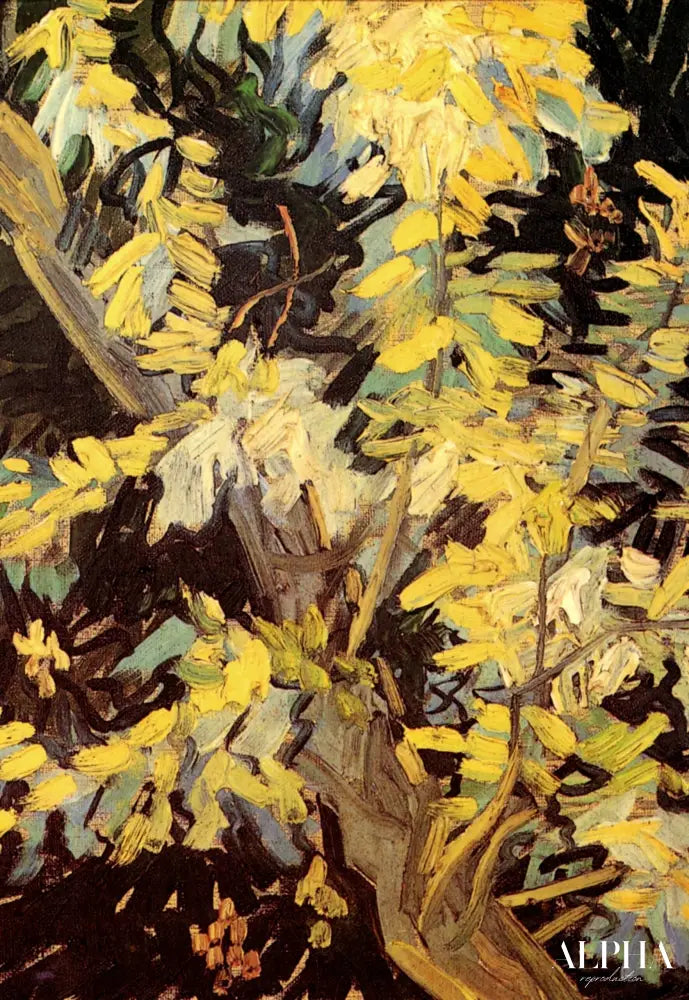 Acacias fleurissants - Van Gogh - Reproductions de tableaux et peintures haut de gamme