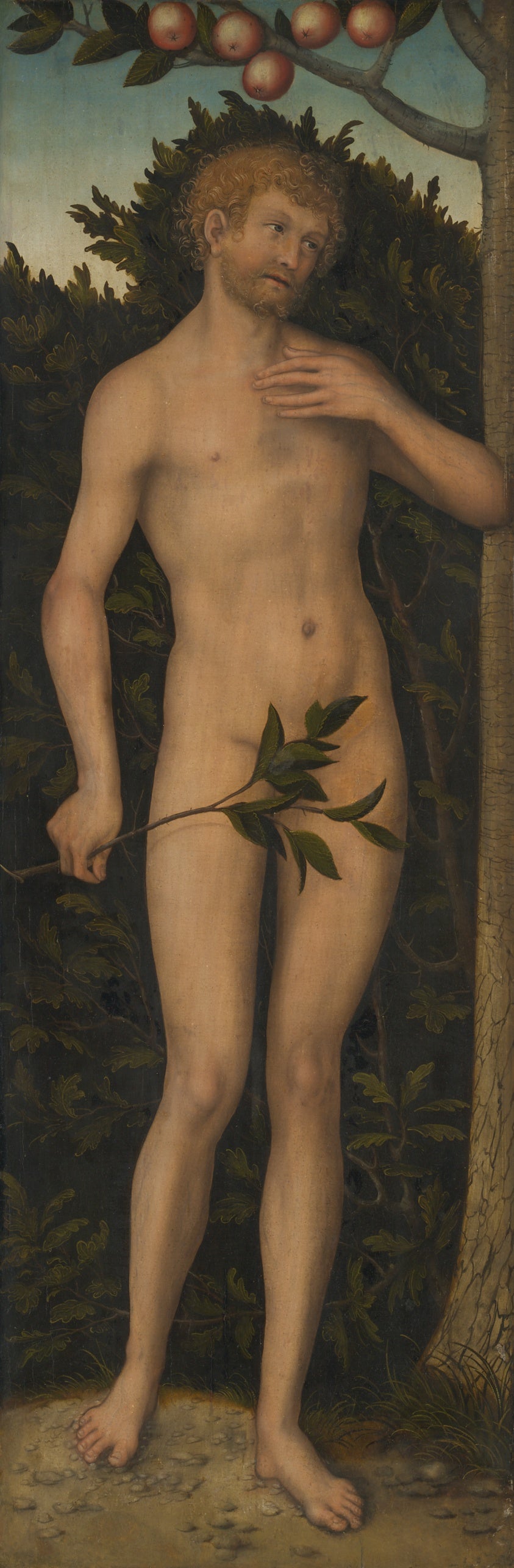 Adam (Chicago, 1533–1537), Lucas Cranach the Elder — reproduction de peinture à l’huile