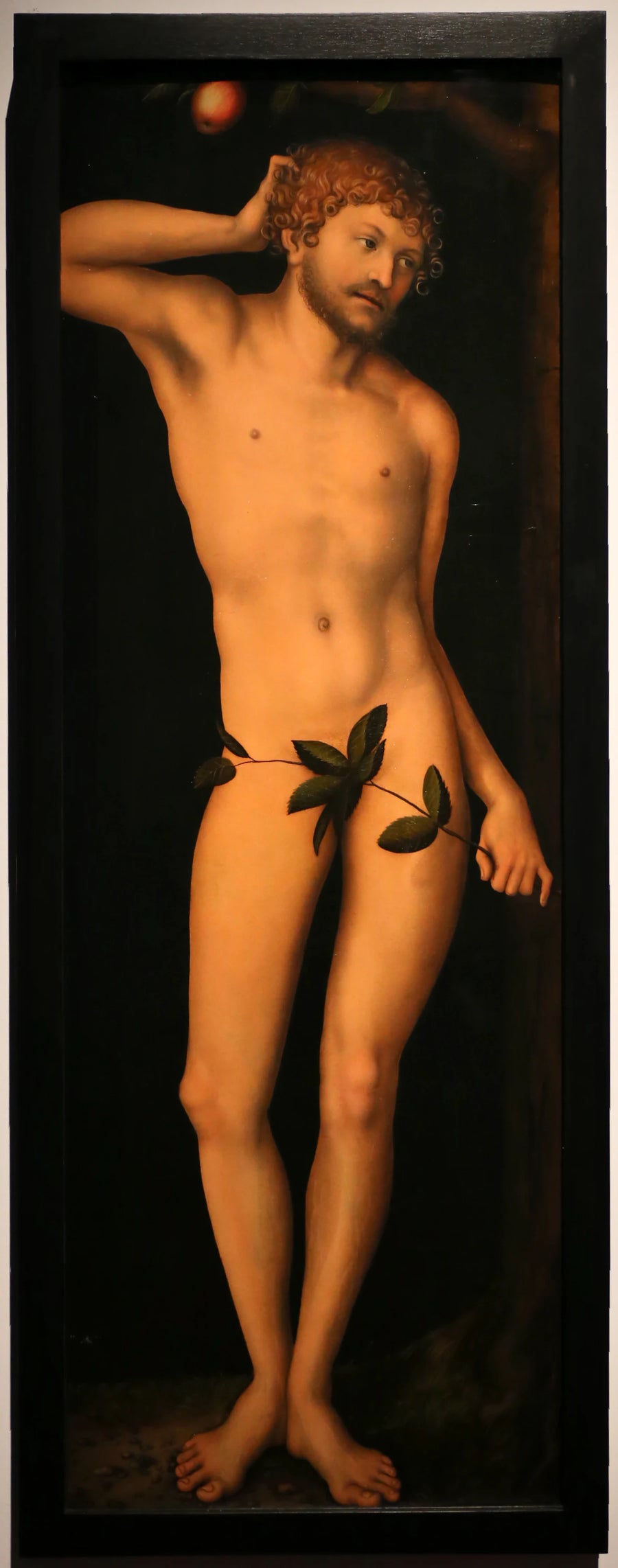 Adam - Lucas Cranach l'Ancien