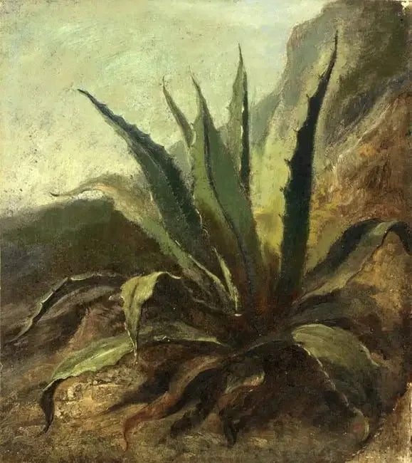 Agave in Morocco - Eugène Delacroix
