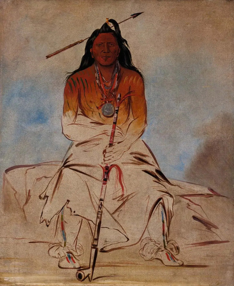 Ah-sháw-wah-róoks-te, Medicine Horse, a Great Pawnee Brave - George Catlin