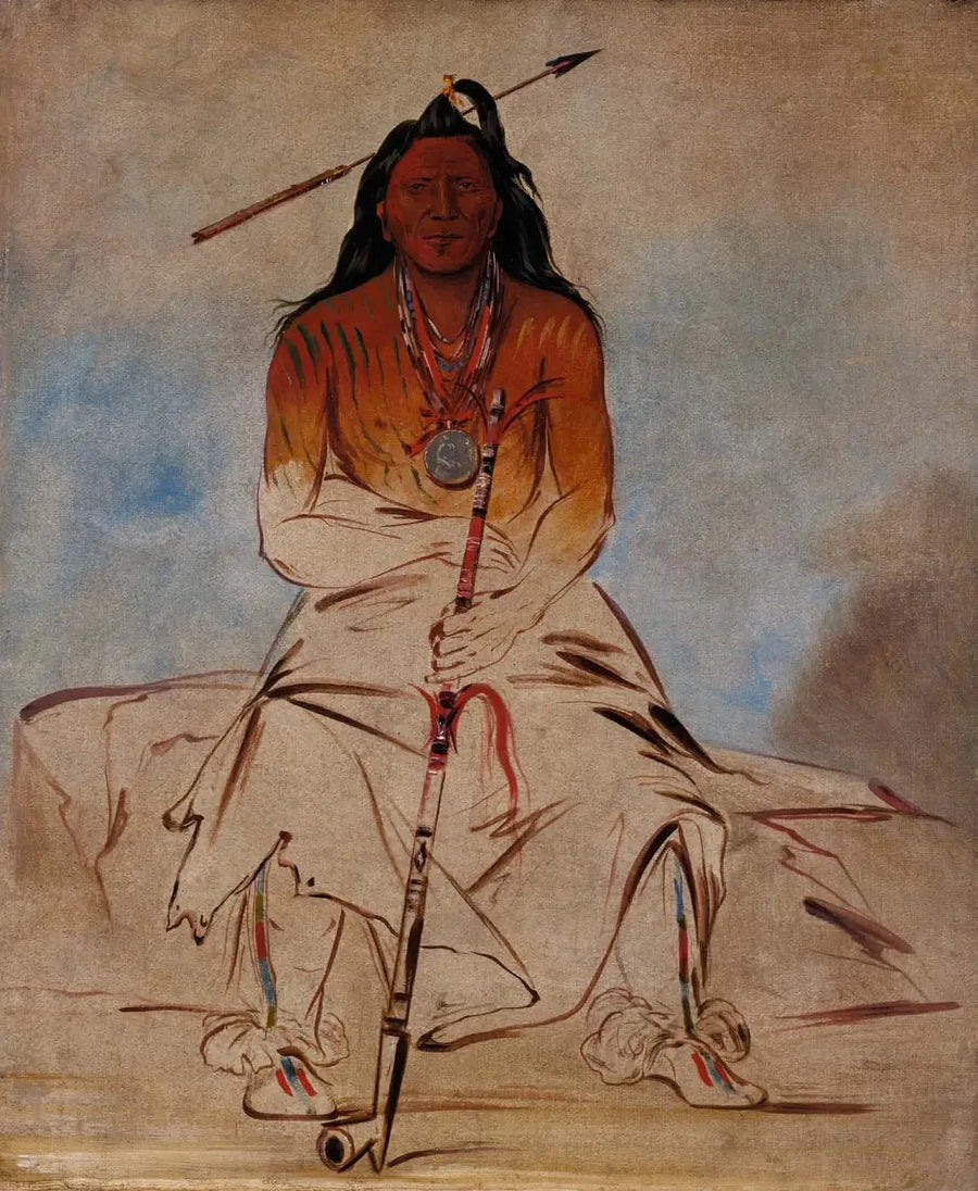 Ah-sháw-wah-róoks-te, Medicine Horse, a Great Pawnee Brave - George Catlin