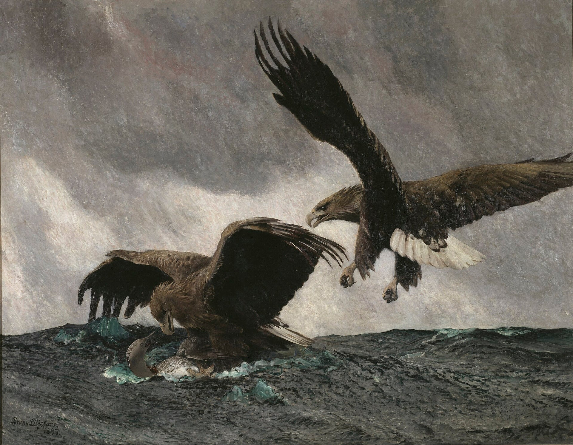 Aigles de mer - Bruno Liljefors image 1 copie peinte à la main à l’huile