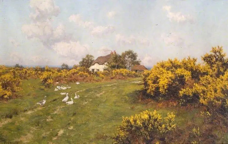 Gorse on a communal land in Berkshire (Bucklebury Common) - Edward Wilkins Waite