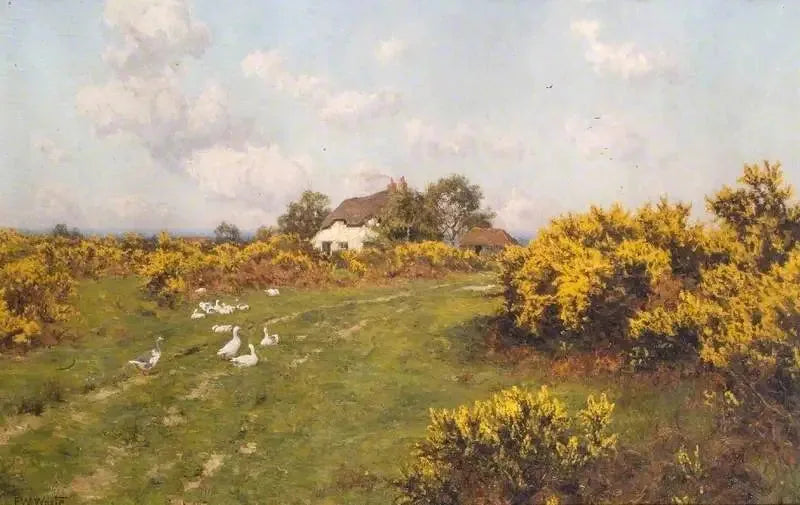 Gorse on a communal land in Berkshire (Bucklebury Common) - Edward Wilkins Waite