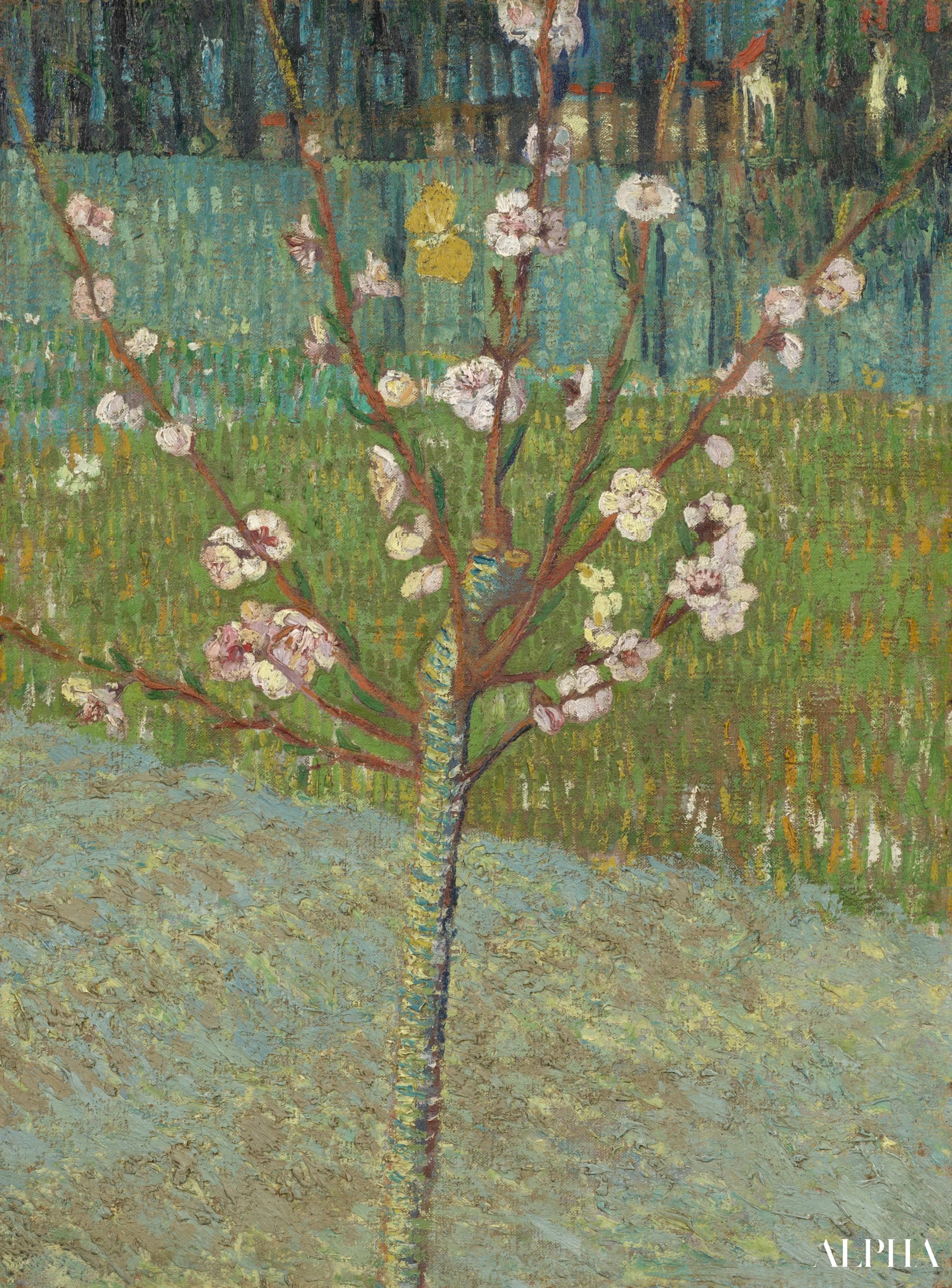 Amandier en fleur - Van Gogh - Reproductions de tableaux et peintures haut de gamme