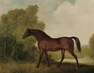 Ambrosio, a bay stallion, owned by Thomas Haworth - George Stubbs