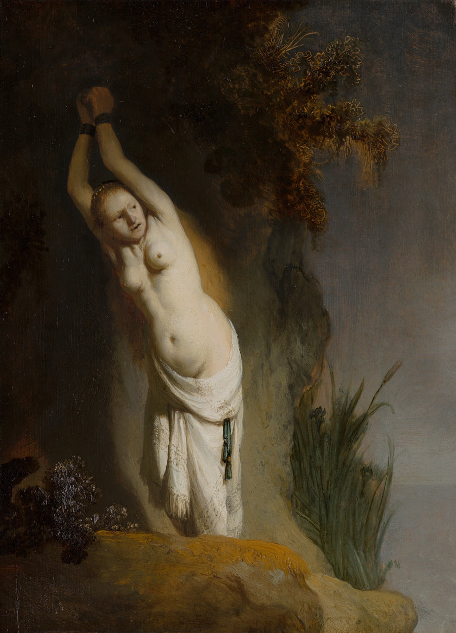 Andromeda Chained - Rembrandt