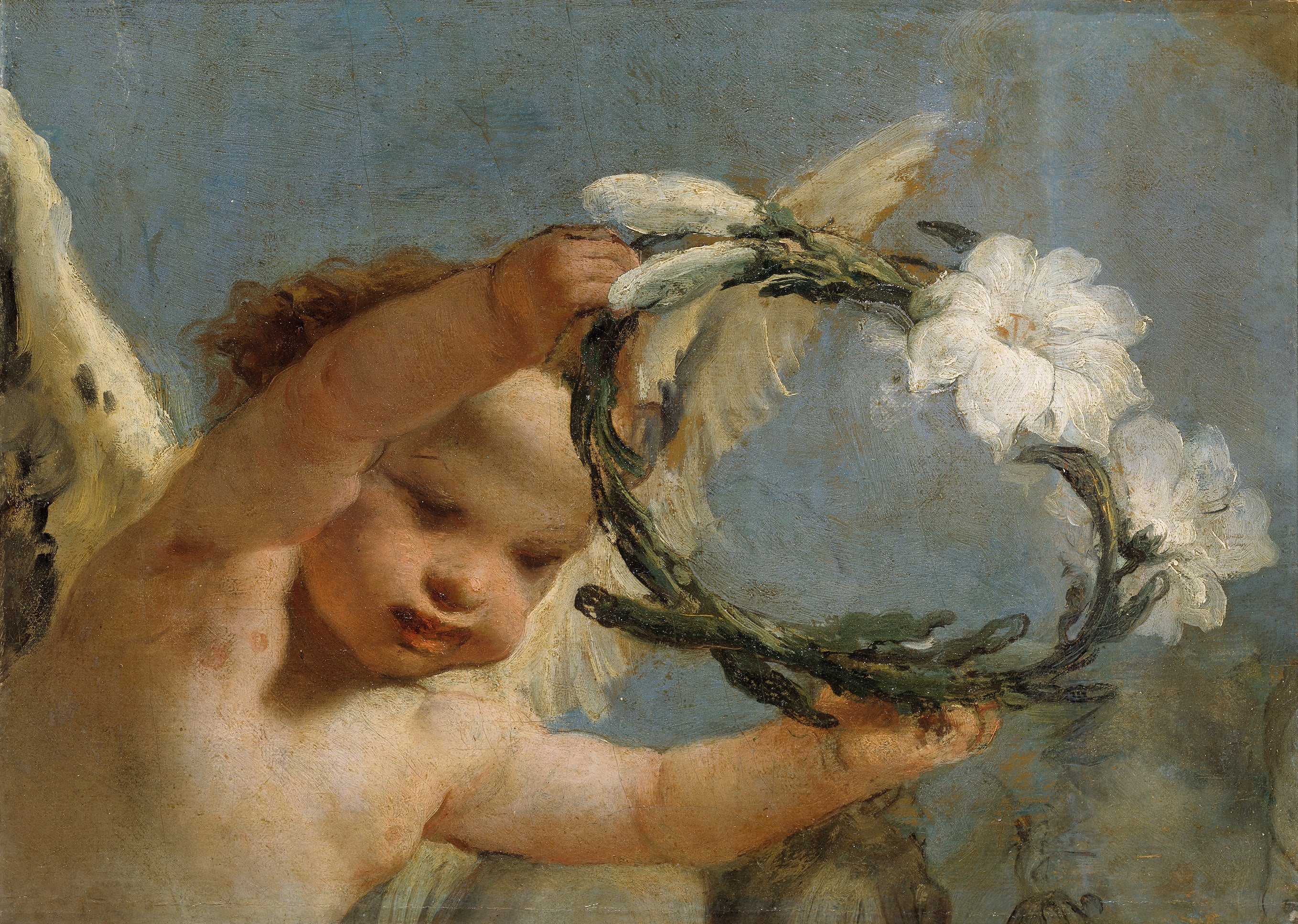 Angel with a Lily Crown - Giovanni Battista Tiepolo